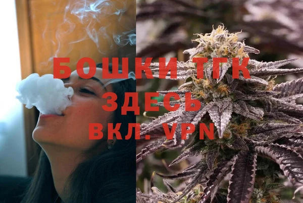 МДПВ Вяземский