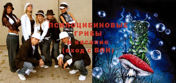 МДПВ Вяземский