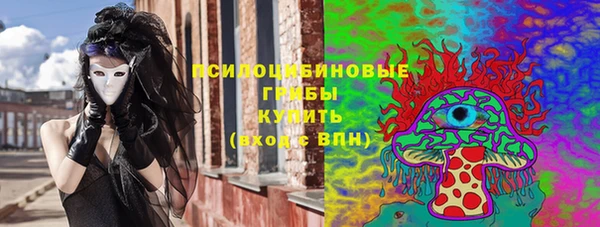 шишки Вязники