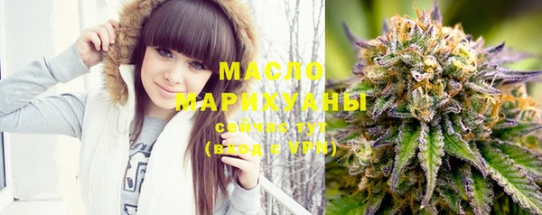 МДПВ Вяземский