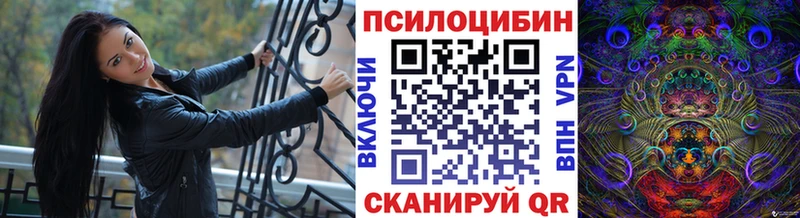 Купить  Катайск  Галлюциногенные грибы мухоморы 
